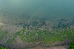 DJI_0197