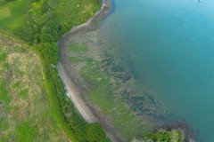 DJI_0208
