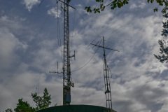DSC3136