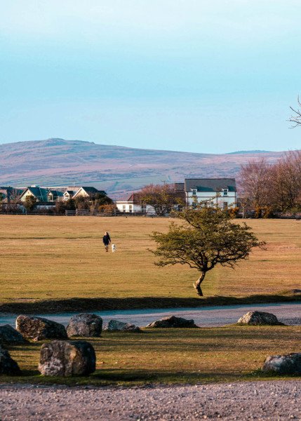 dog-walker-dartmoor