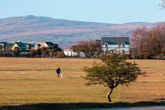 dog-walker-dartmoor