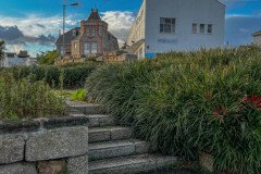 IMG_0304