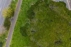 DJI_0088