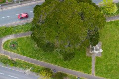 DJI_0092