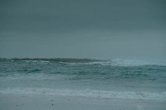 DSC00482