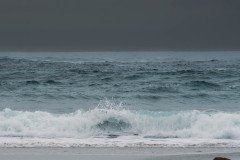 DSC00498