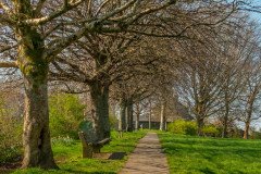 Spring in the Park