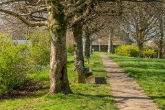 DSCF1219