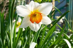 DSCF1231
