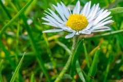 DSCF1257