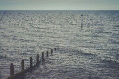 DSC03818