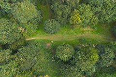 DJI_0811