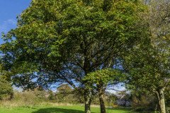 DSC03468