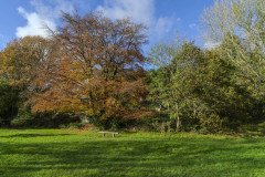 DSC03495