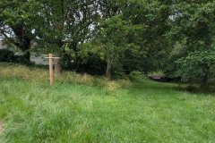 PXL_20260619_111059187
