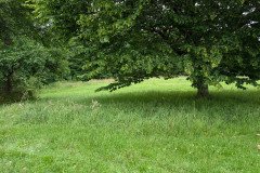 PXL_20260619_111101771