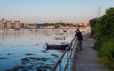 My Review of Canva as a Photographer