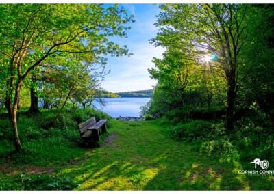 The Burrator Reservoir
