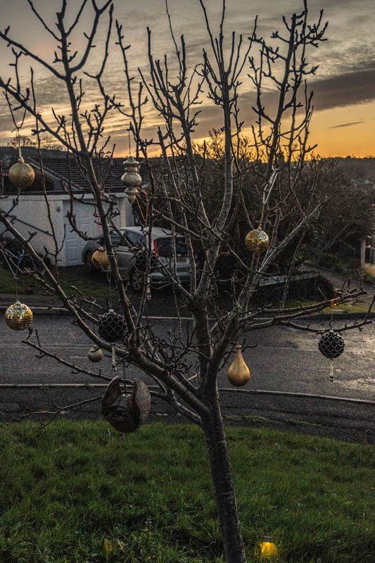 Christmas is fast approaching, low light photography