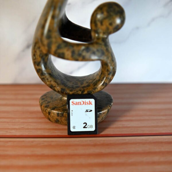 SanDisk 2GB SD Memory Card