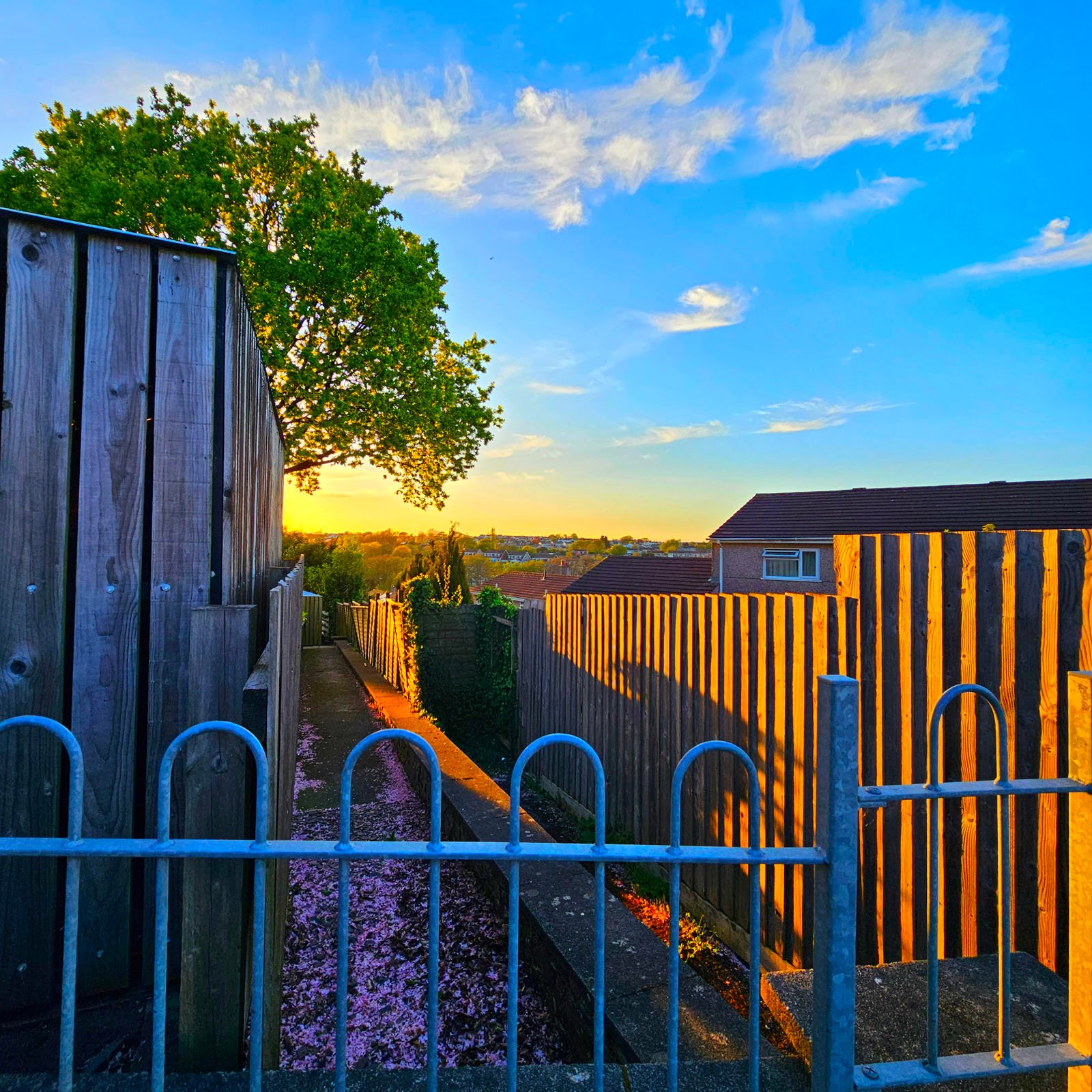 After 20 years the 1 reason why I am leaving Adobe